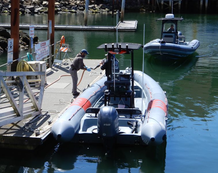 Whalewatching Zodiak boats pull up to the city-owned fuel dock in Depoe Bay. (Photo by Rick Beasley, Beacon Media)