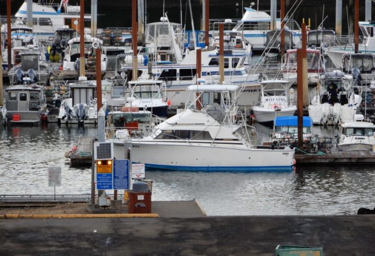 Depoe Bay dock project stalled