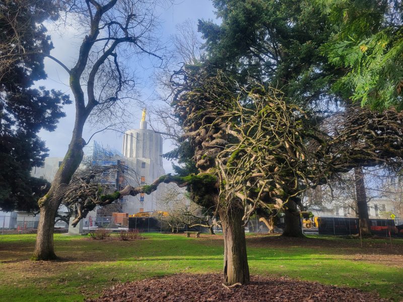 Oregon State Capital building