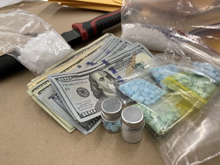 Investigation and tips lead to drug bust