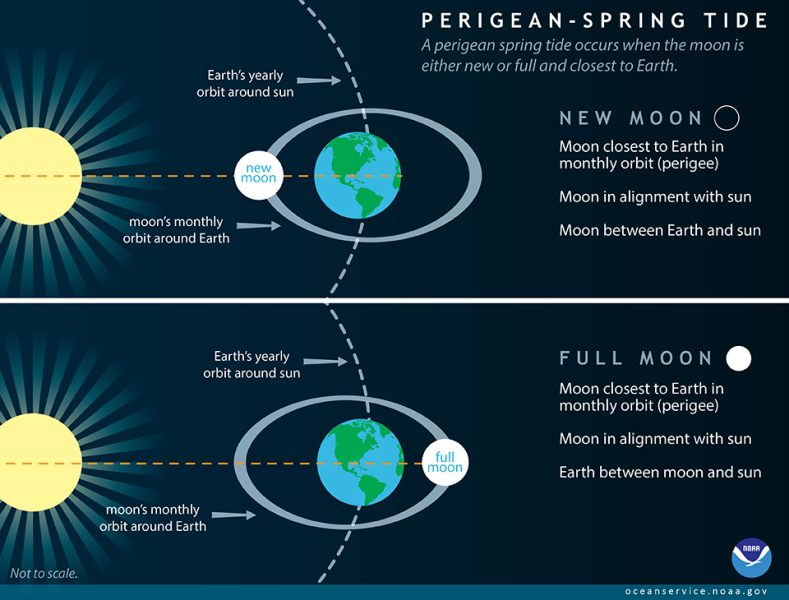 perigeanspringtide