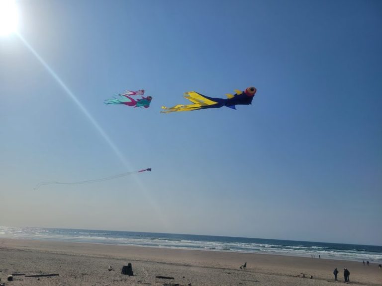 Kites stretch their wings