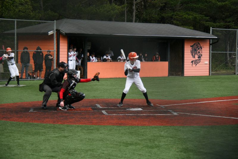 Umpires needed for baseball and softball