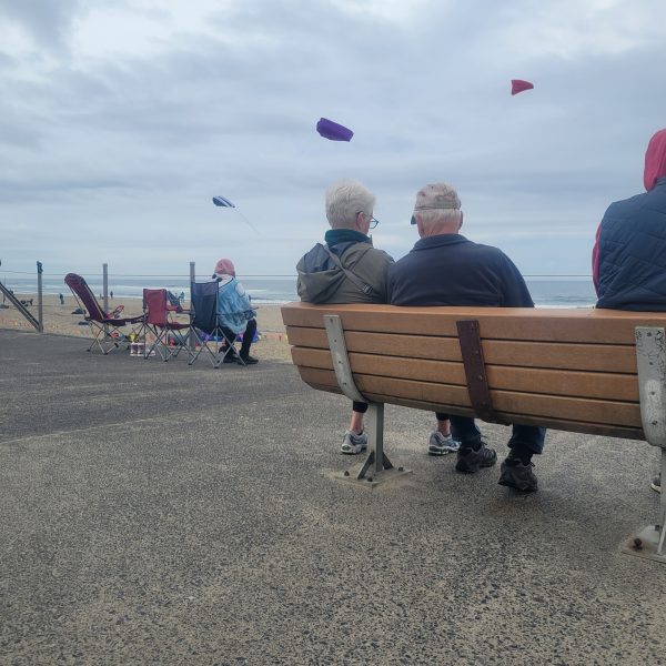 Kite Festival Returns in September