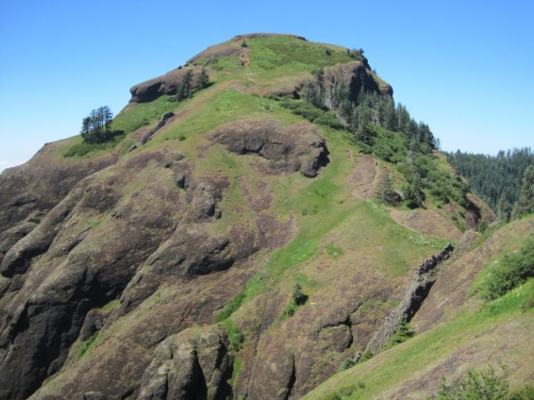 Saddle Mountain to close temporarily for hazard tree removal